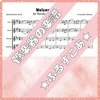 「愛のワルツ」ワルツOp.39より15番(J.ブラームス)【フルート４重奏】