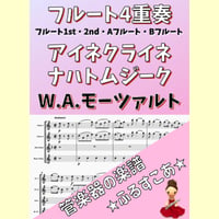 【フルート４重奏】アイネクライネナハトムジーク