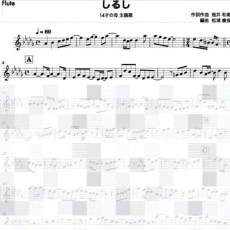 しるし (Mr.Children) フルートソロ 「14才の母」主題歌