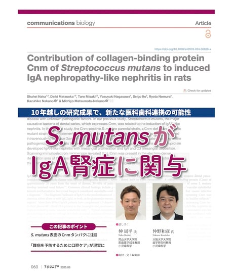 月刊アポロニア21【2025年3月号】カラダと口の健康・最前線 ーインフル感染、認知症、腎臓病、アトピー他