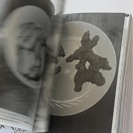 作品集『ぼく、ぼく脳』　Collection of BOKUNOU
