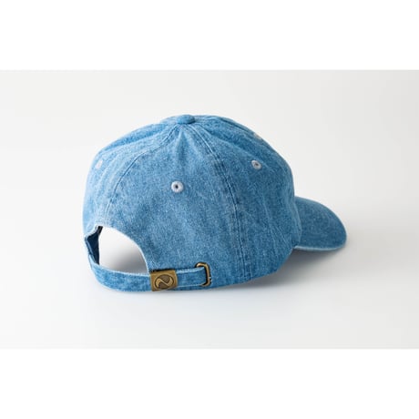 ART is in the pARTy  CAP