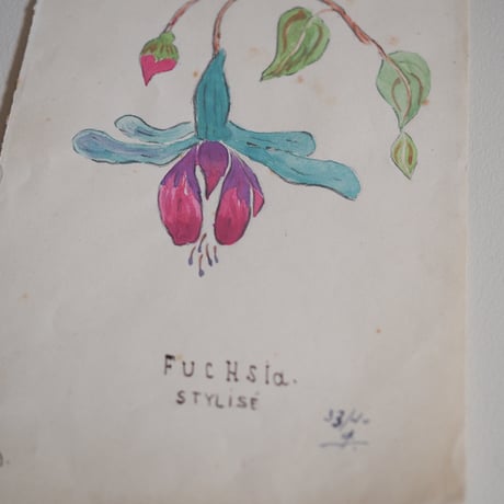 A picture of FUCHSIA drawn by someone