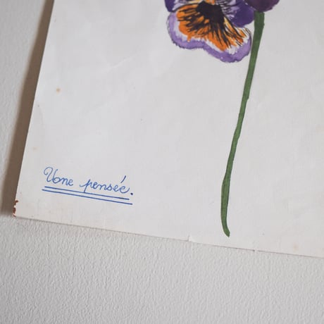 A picture of a violet drawn by someone