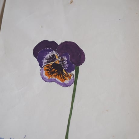 A picture of a violet drawn by someone