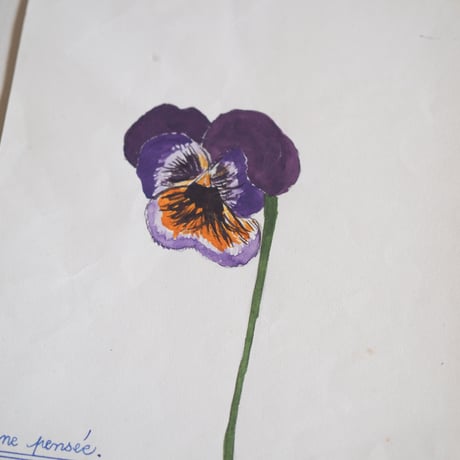 A picture of a violet drawn by someone