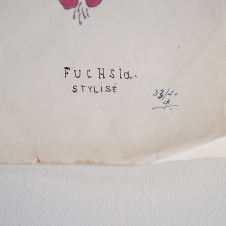 A picture of FUCHSIA drawn by someone