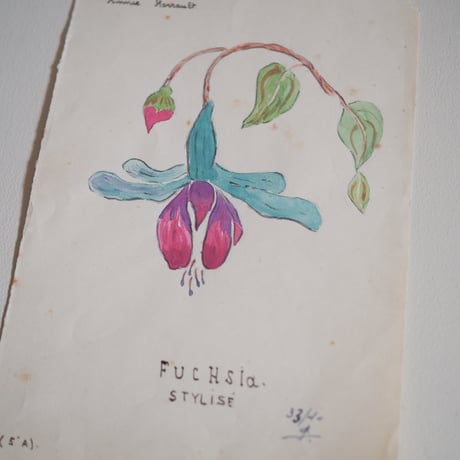 A picture of FUCHSIA drawn by someone