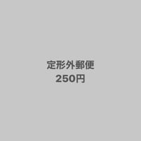 定形外郵便　250円