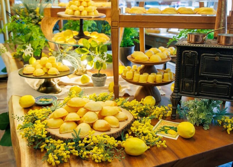 【泡4本セット】kondoヴィンヤード ドメーヌモン 松原農園 　北海道 完売 スクエアL | KOBE KITANO HOTEL online shop