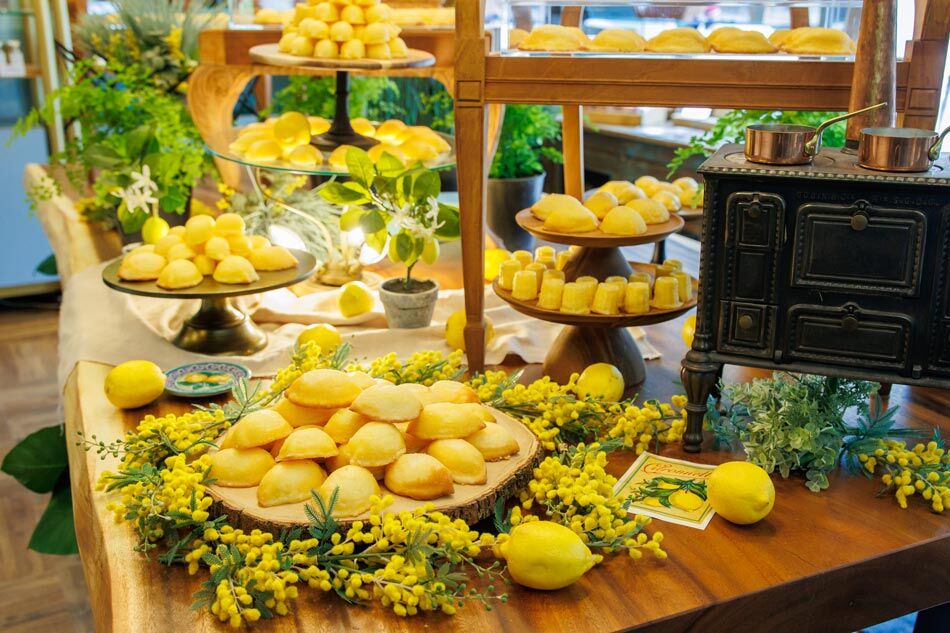 スクエアL | KOBE KITANO HOTEL online shop