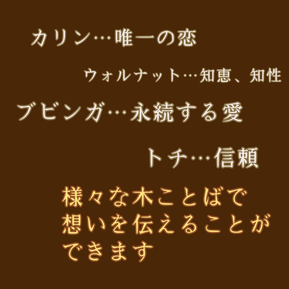 6923fdec808e2c663a2c99e1