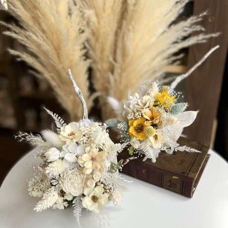 ブッタナッツ | STORES