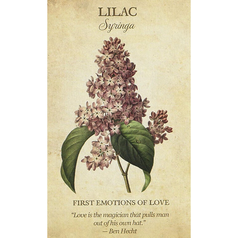 ボタニカルインスピレーション Botanical Inspirations: Deck & B