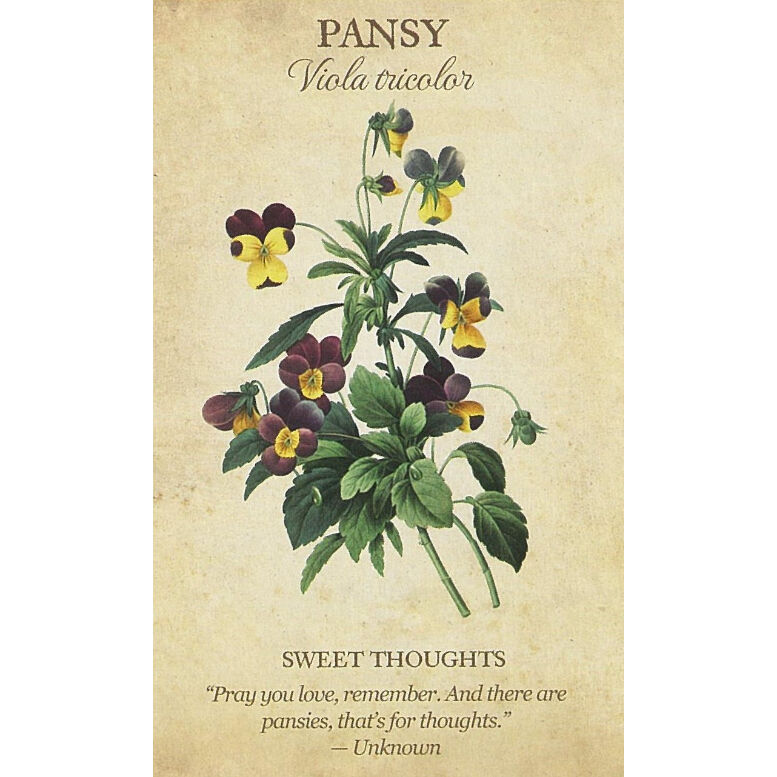 ボタニカルインスピレーション Botanical Inspirations: Deck & B