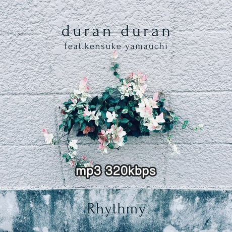 duranduran | STORES