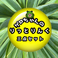 リットリンク3点セット