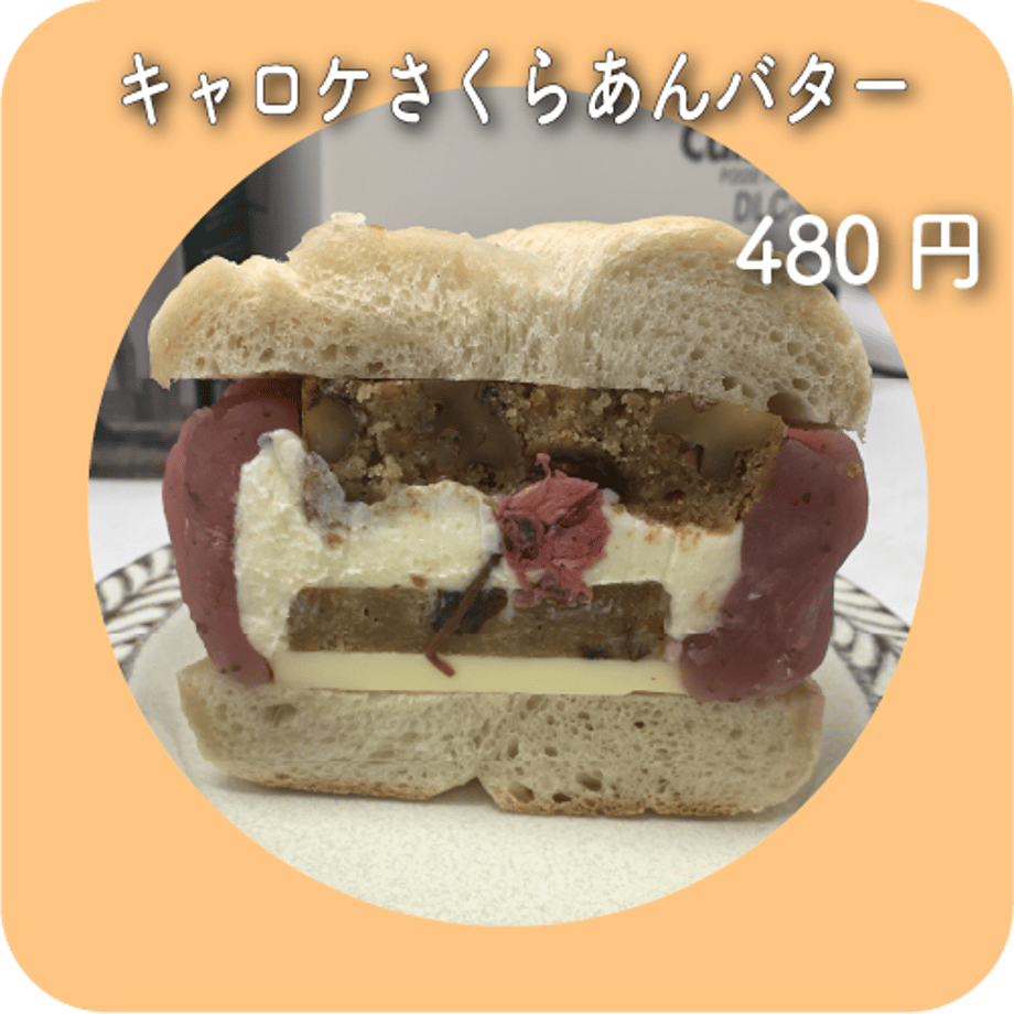 67c6feb39dd5030aa1eb0421