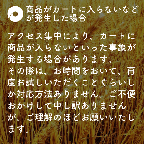 おこのみベーグルセット