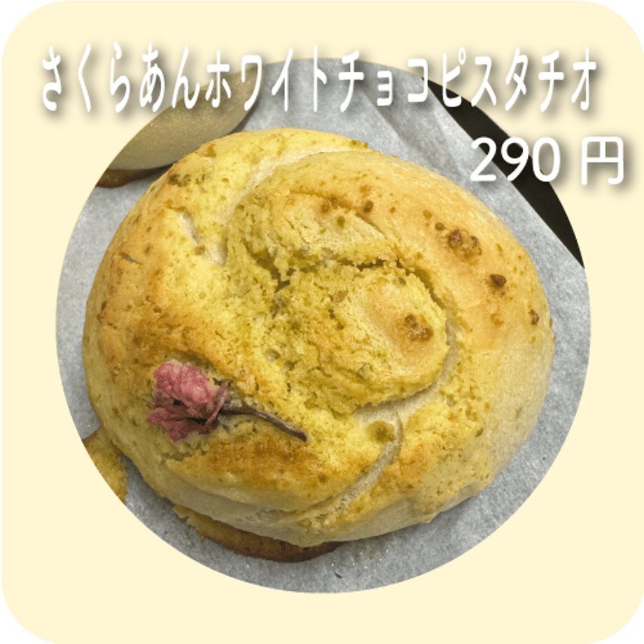 65df124f60a81b016b26f015