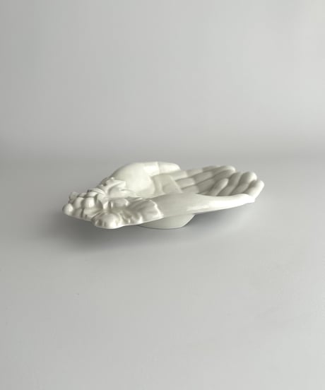 Hand tray