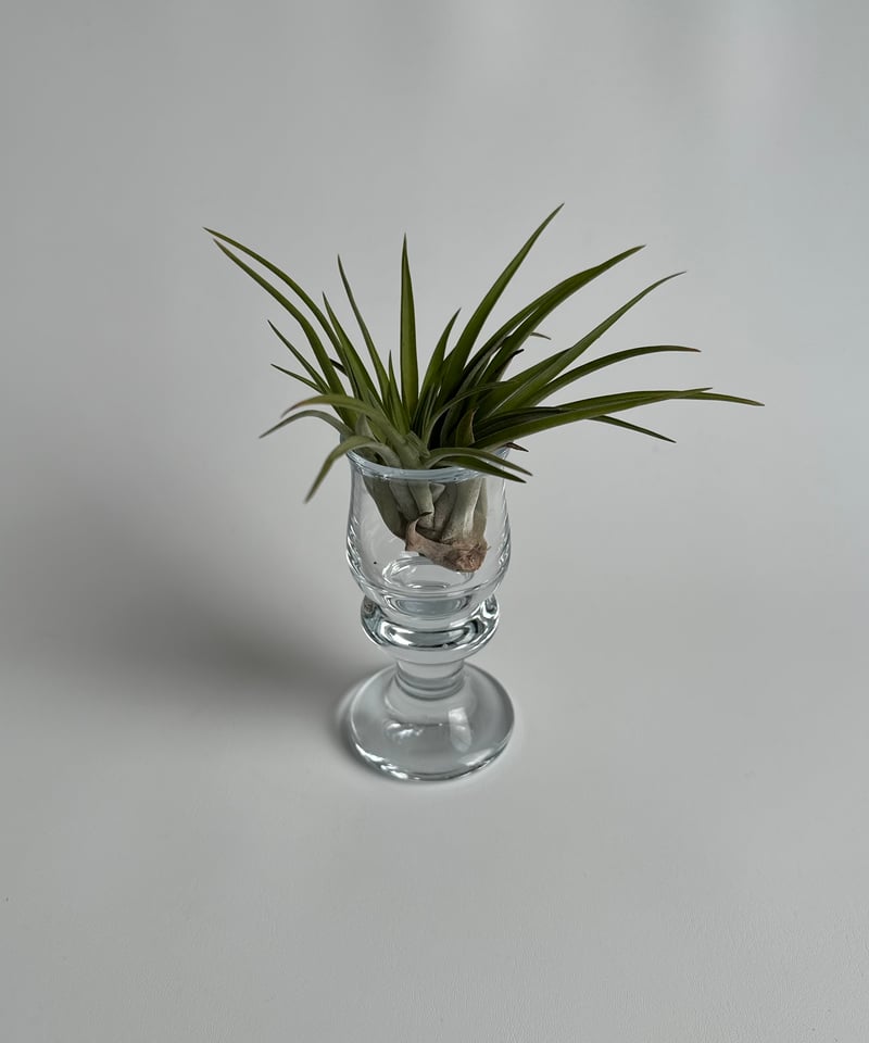 Glass｜Holmegaard｜ホルムガード｜Tivoli｜グラス | roi home｜北