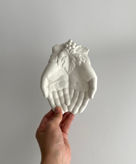 Hand tray