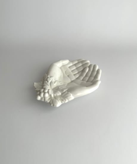 Hand tray