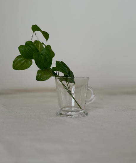 Mug｜ガラスのマグカップ｜コーヒーマグ