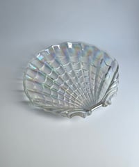 Dish ｜HASEGAWA GLASS｜Venus｜特大｜シェル