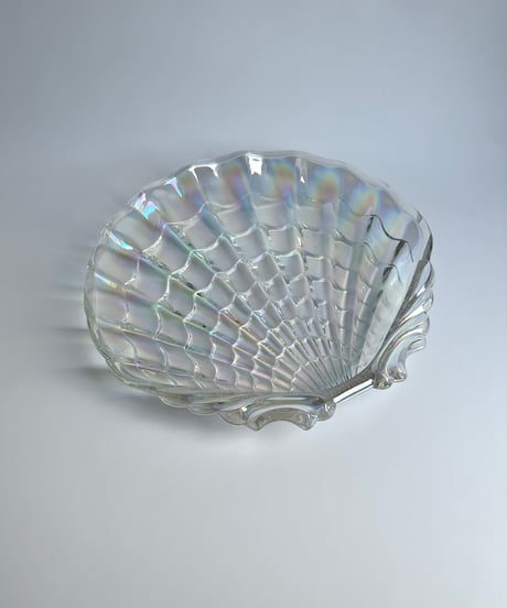 Dish ｜HASEGAWA GLASS｜Venus｜特大｜シェル