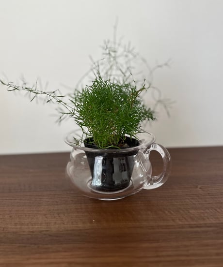 Flower Pot｜フラワーポット｜花瓶｜Kosta Boda｜スウェーデン