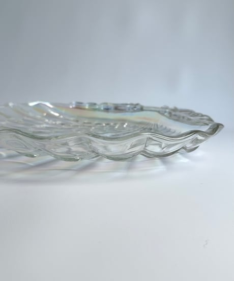 Dish ｜HASEGAWA GLASS｜Venus｜特大｜シェル