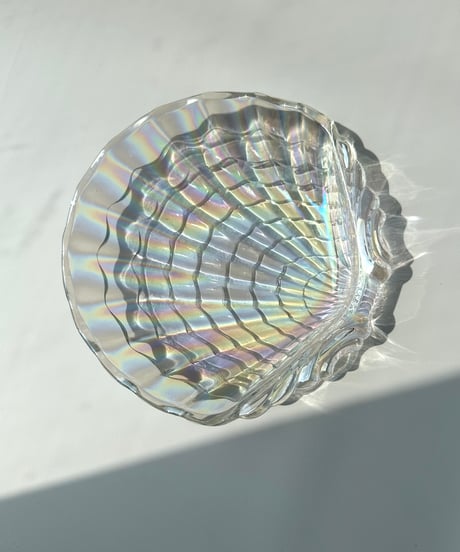 Dish ｜HASEGAWA GLASS｜Venus｜シェル｜皿