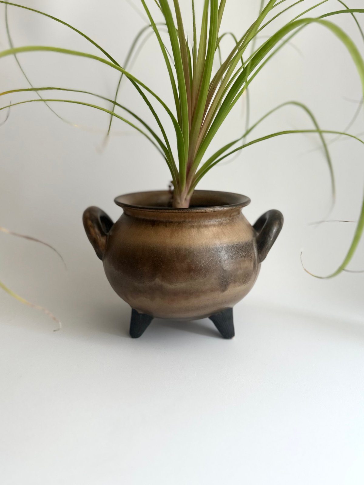 Pot｜Upsala Ekeby｜ウプサラエクビィ｜陶器｜鉢カバー｜スウェーデン