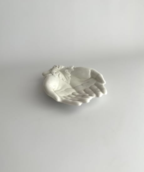 Hand tray
