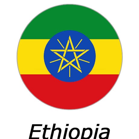 【JAS認証】エチオピア イルガチェフェ チェルベサ ナチュラル