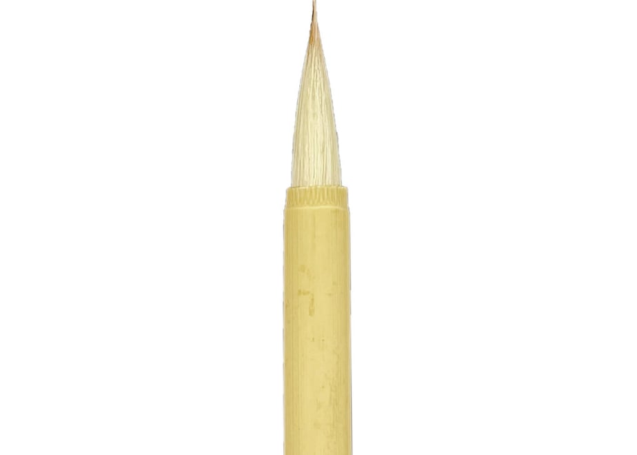 63800cac4b08393683bae750