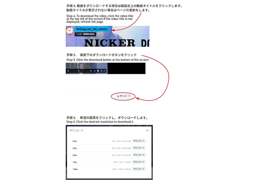 Download Guide for 