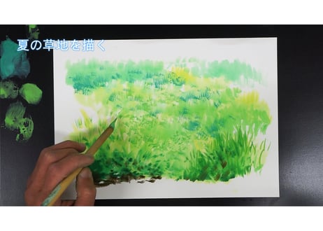 【4 video packs】Download Guide for  "Spring, Summer, Autumn and Winter in the grassland" Full version