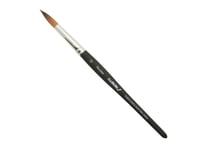 ナムラ　Norme（ノルム）　12号