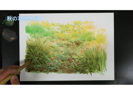 【4 video packs】Download Guide for  "Spring, Summer, Autumn and Winter in the grassland" Full version