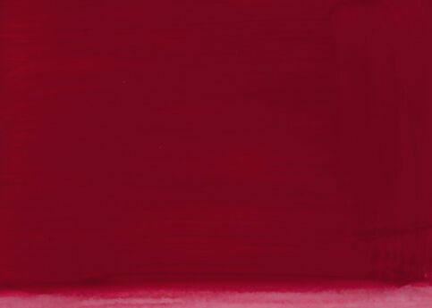 アクリル画 無題 101 『ローズ&アメリカンチェリー』 魅惑のチェリー