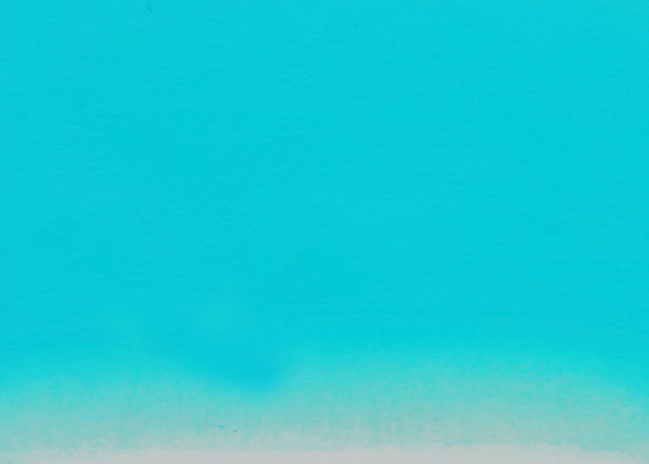 61866c127d5d8134a56dfef0