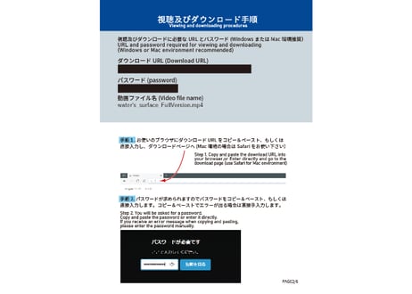 【4 video packs】Download Guide for  "water's surface, under water, dappled sunlight, angel's ladder"