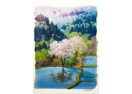 Signed “Spring in Japan: Niigata, Echigo-Tsumari” by Yoichi Watanabe / Reproduction / Unframed