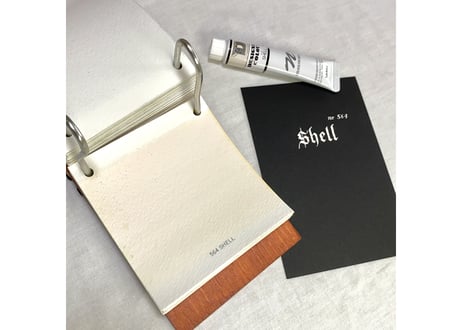 デザイナースカラー20ML　DC564　シェル　SHELL