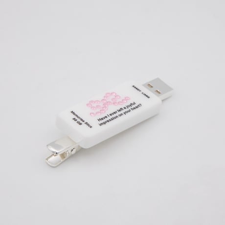 Memories USB Hairclip / Sandy Liang