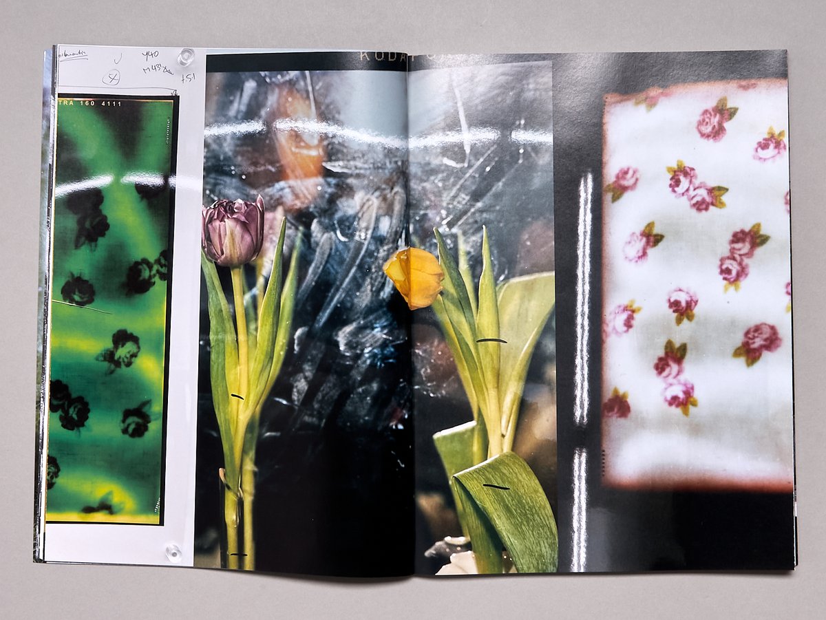 BILL MAGAZINE Issue 5 | INTA-NET KYOTO