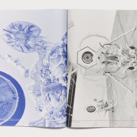 MOUSSE MAGAZINE Issue 89